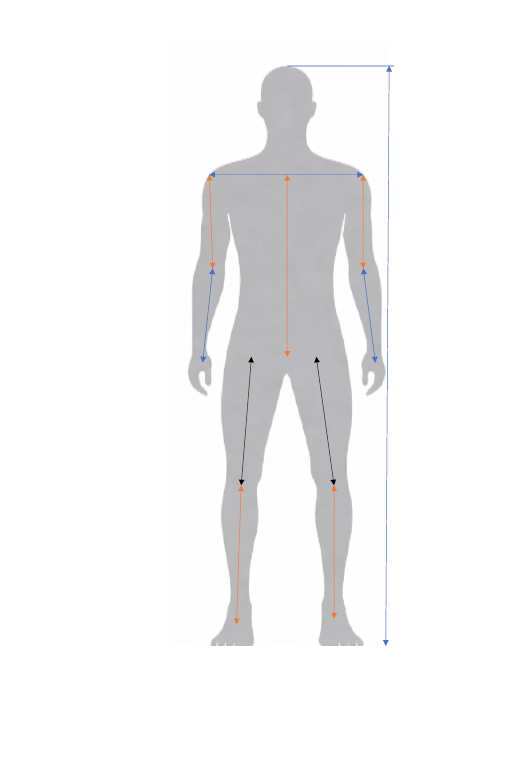 Schéma segments morphologiques